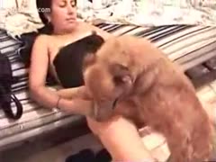 Dog cum running down this older beastiality first-timers used wet crack